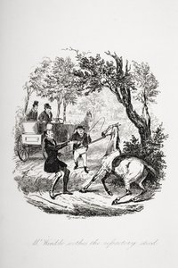 M. Winkle apaise le cheval réfractaire, illustration de 